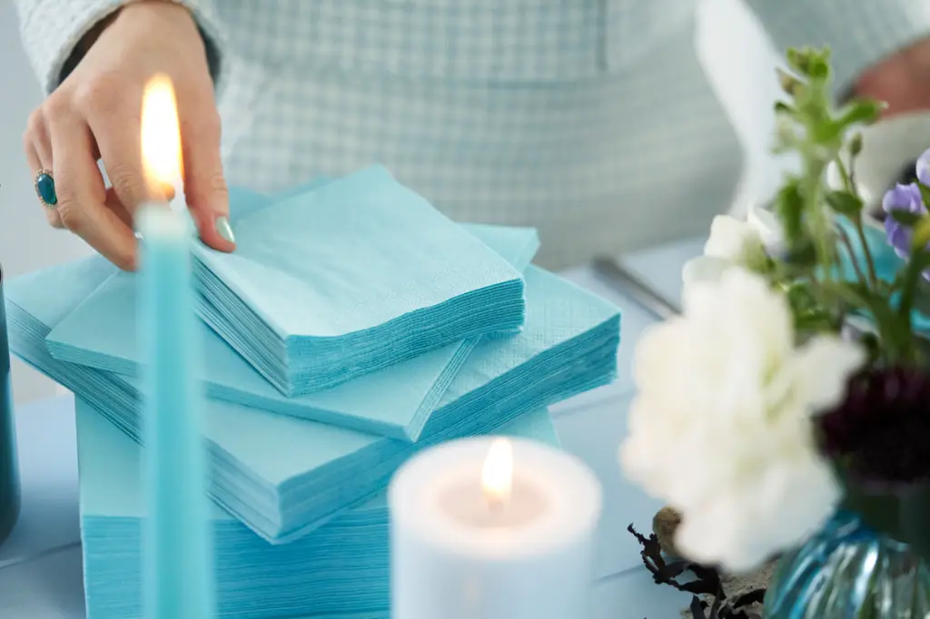 serviettes-airlaid-bio-dunisoft-40x40-cm-360pcs-bleu-menthe-set.webp