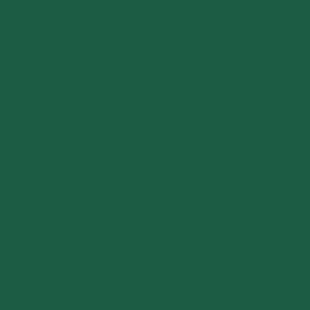 serviettes-airlaid-bio-dunisoft-40x40-cm-360pcs-vert-fonce-top.webp