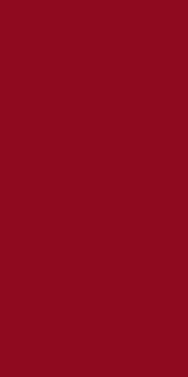 serviettes-airlaid-bio-dunisoft-40x40-cm-pliage-1-8-360pcs-bordeaux-top.webp
