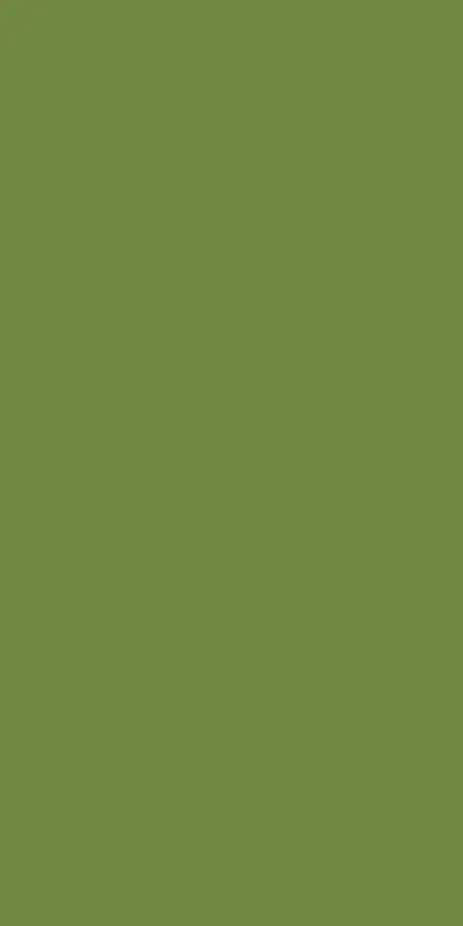 serviettes-airlaid-bio-dunisoft-40x40-cm-pliage-1-8-360pcs-vert-feuille-top.webp