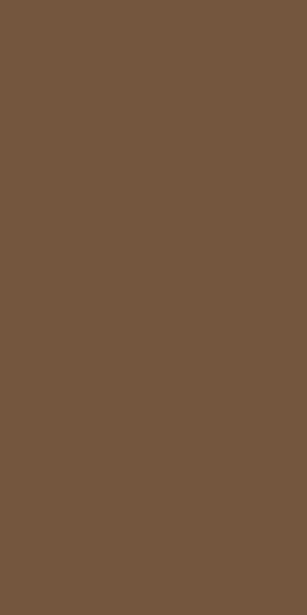 serviettes-ouate-40x40-cm-3-plis-pliage-1-8-1250pcs-noisette-top.webp