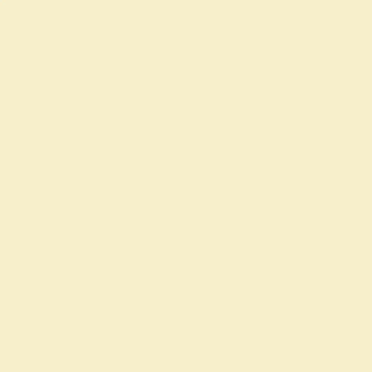 serviettes-ouate-40x40-cm-2-plis-1250pcs-creme-top.webp