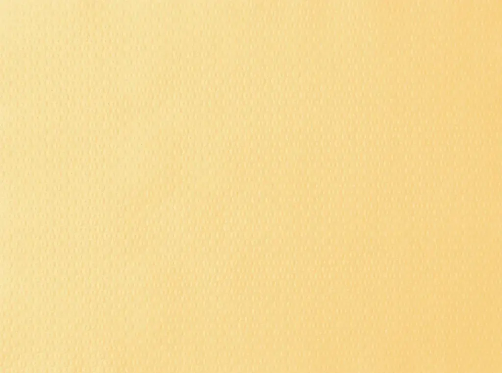Set de Table Papier Duni 30x40 cm Creme 1000 pcs