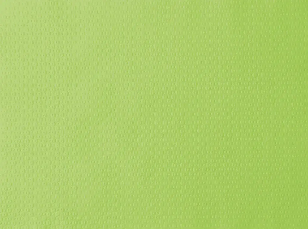 Kiwi Paper Placemats 30 x 40 cm 1000PCS