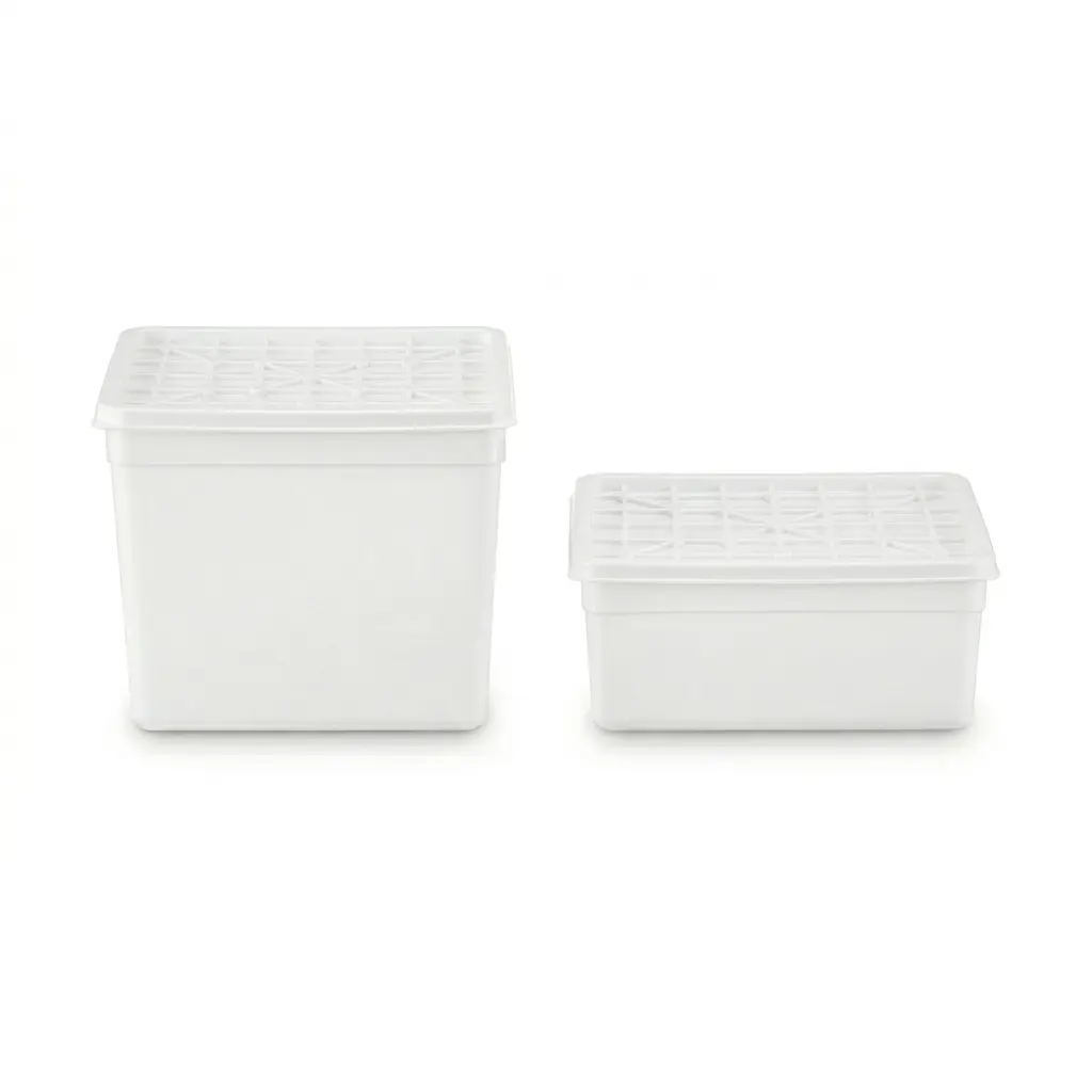 Boîte Glacier PP Naturel - 2,5L - 100 Pièces